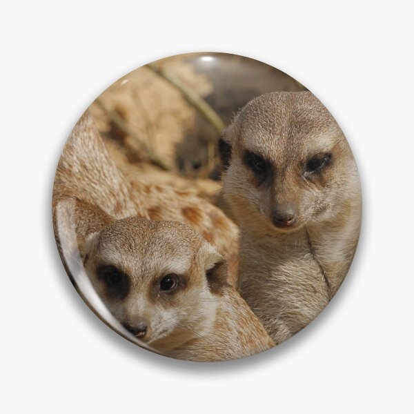 Item preview, Meerkat 039 designed and sold by JAMFoto.