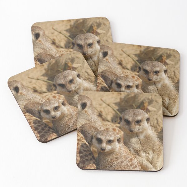 Item preview, Meerkat 039 designed and sold by JAMFoto.