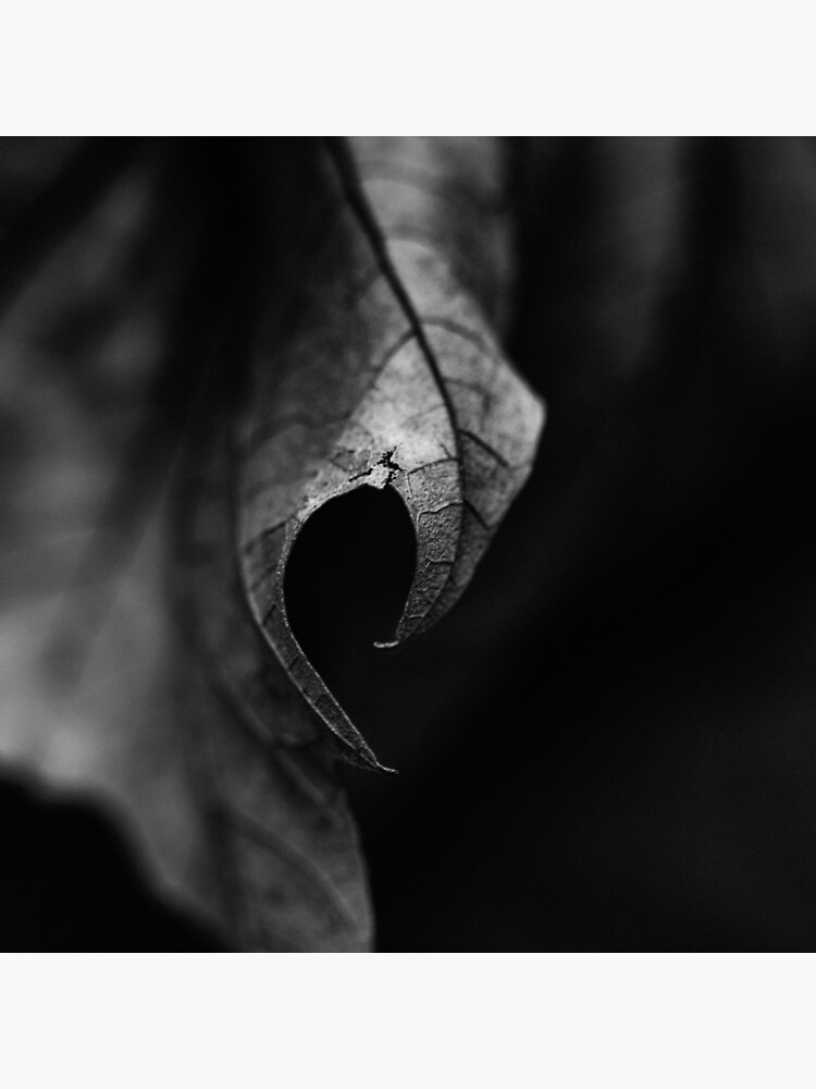 Thumbnail 2 of 2, Tote Bag, Leaf I designed and sold by FrankThomas.