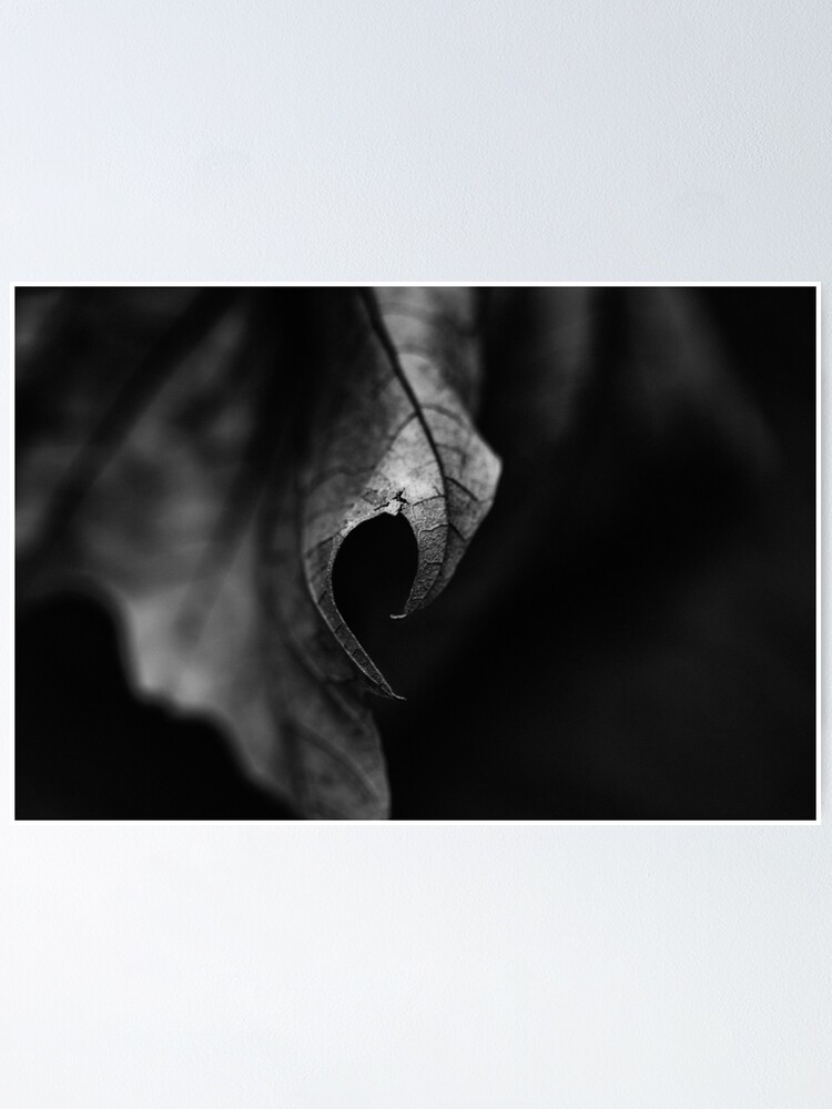 Alternate view of Leaf I Poster