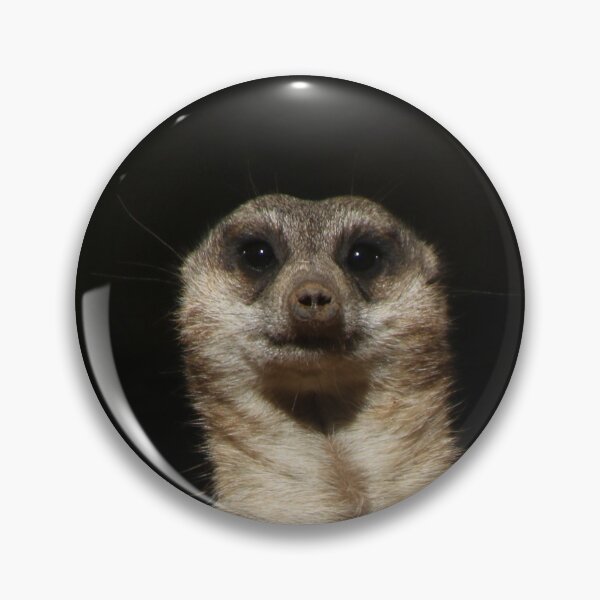 Item preview, Meerkat 040 designed and sold by JAMFoto.