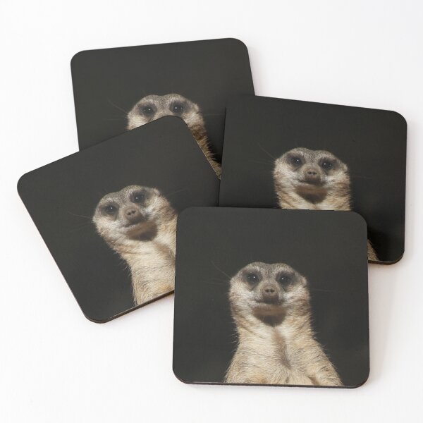 Item preview, Meerkat 040 designed and sold by JAMFoto.