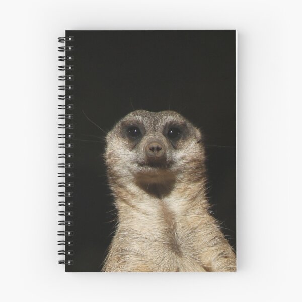 Item preview, Meerkat 040 designed and sold by JAMFoto.