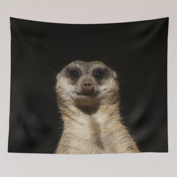 Item preview, Meerkat 040 designed and sold by JAMFoto.