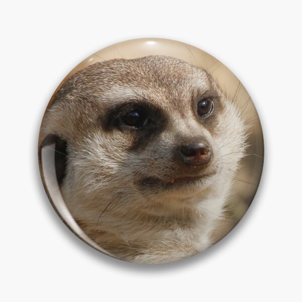 Artikelvorschau, Meerkat 041 entworfen und verkauft von JAMFoto.