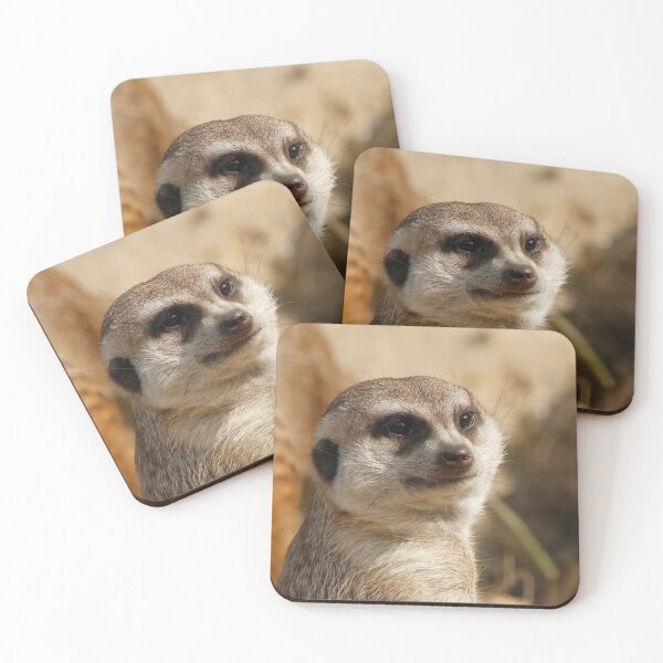 Item preview, Meerkat 041 designed and sold by JAMFoto.