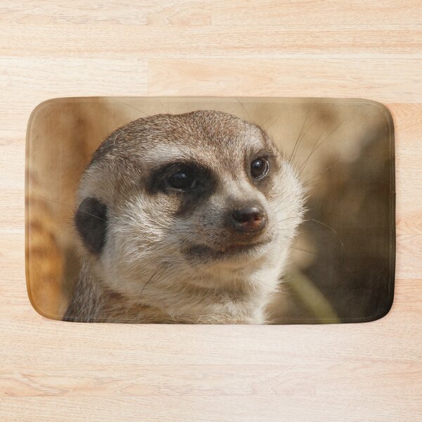 Item preview, Meerkat 041 designed and sold by JAMFoto.