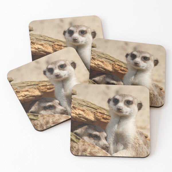 Item preview, Meerkat 042 designed and sold by JAMFoto.