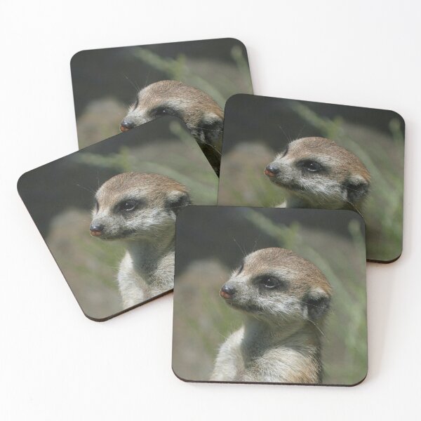 Item preview, Meerkat 043 designed and sold by JAMFoto.