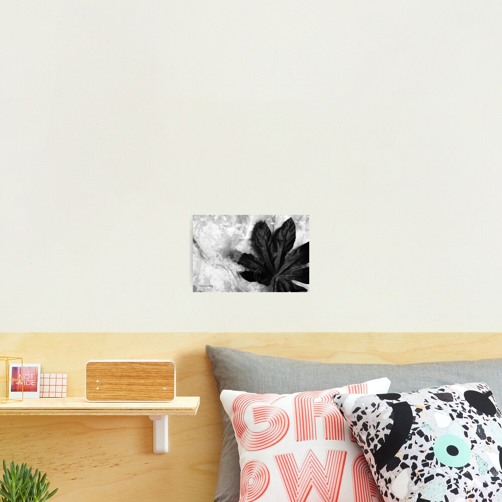 Item preview, Photographic Print designed and sold by RandiGrace.