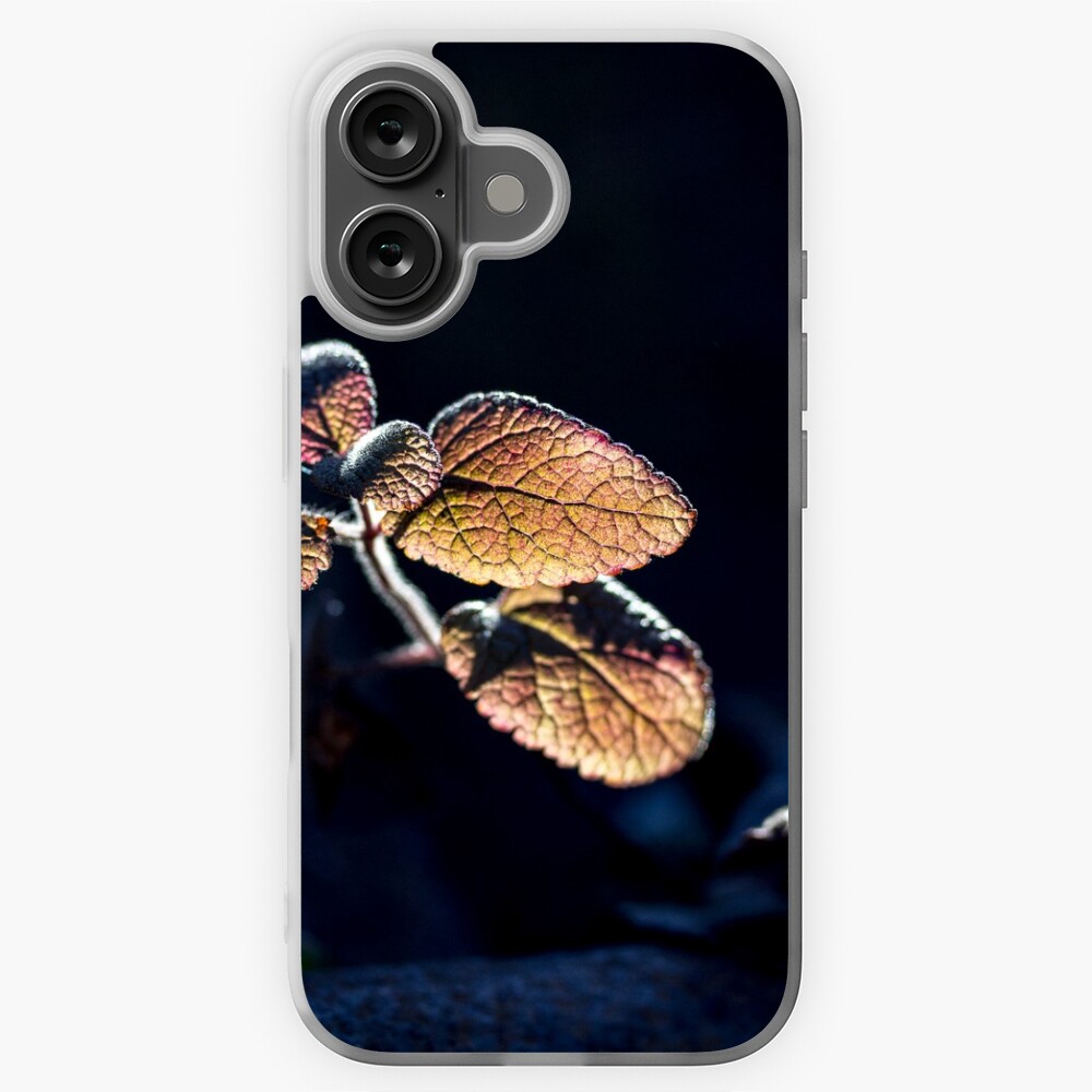 Item preview, iPhone Soft Case designed and sold by FrankThomas.
