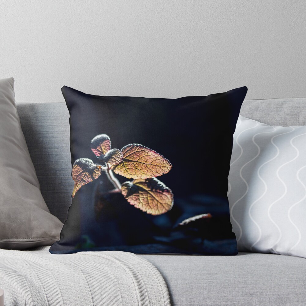 Item preview, Throw Pillow designed and sold by FrankThomas.
