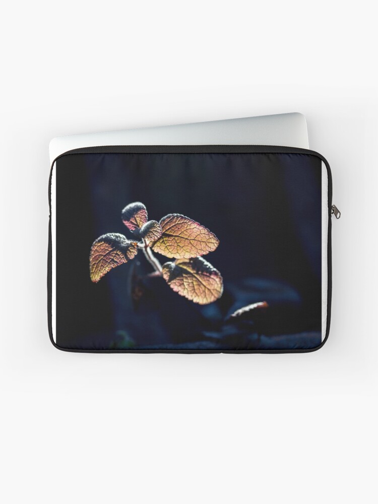 Thumbnail 1 of 2, Laptop Sleeve, Glow designed and sold by FrankThomas.