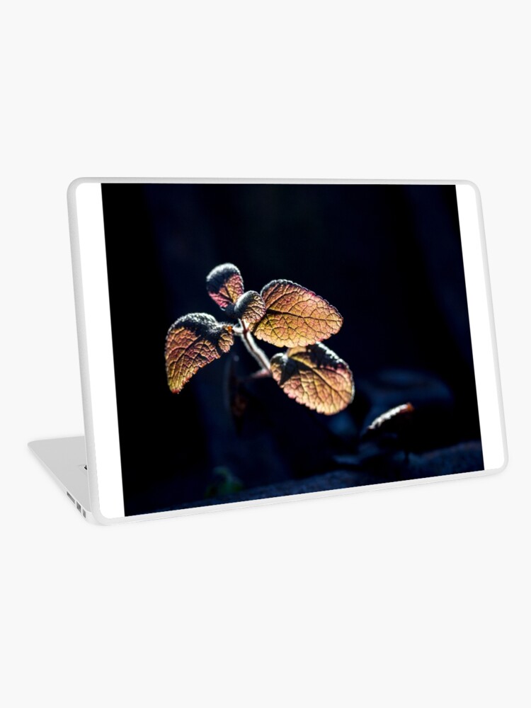 Thumbnail 1 of 2, Laptop Skin, Glow designed and sold by FrankThomas.