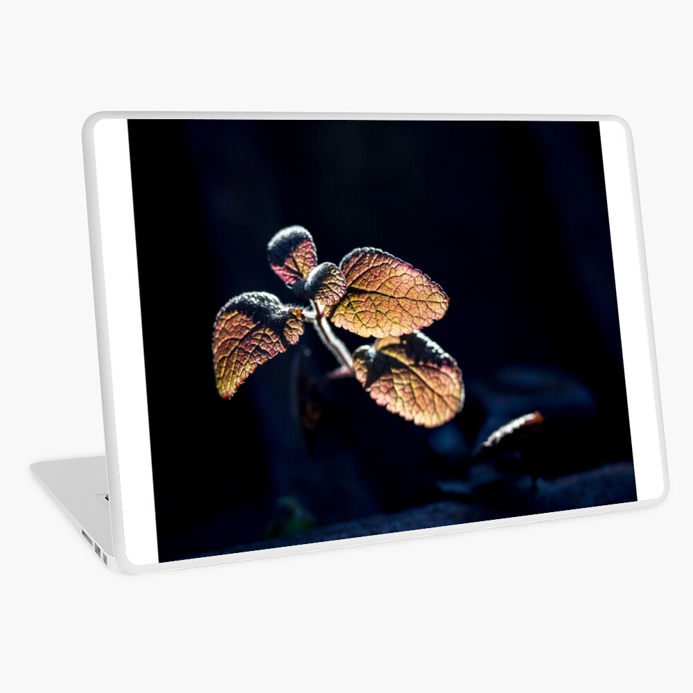 Item preview, Laptop Skin designed and sold by FrankThomas.