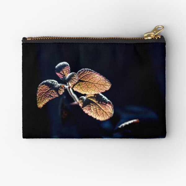 Glow Zipper Pouch
