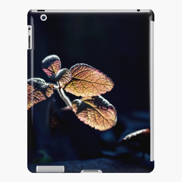 Glow iPad Snap Case