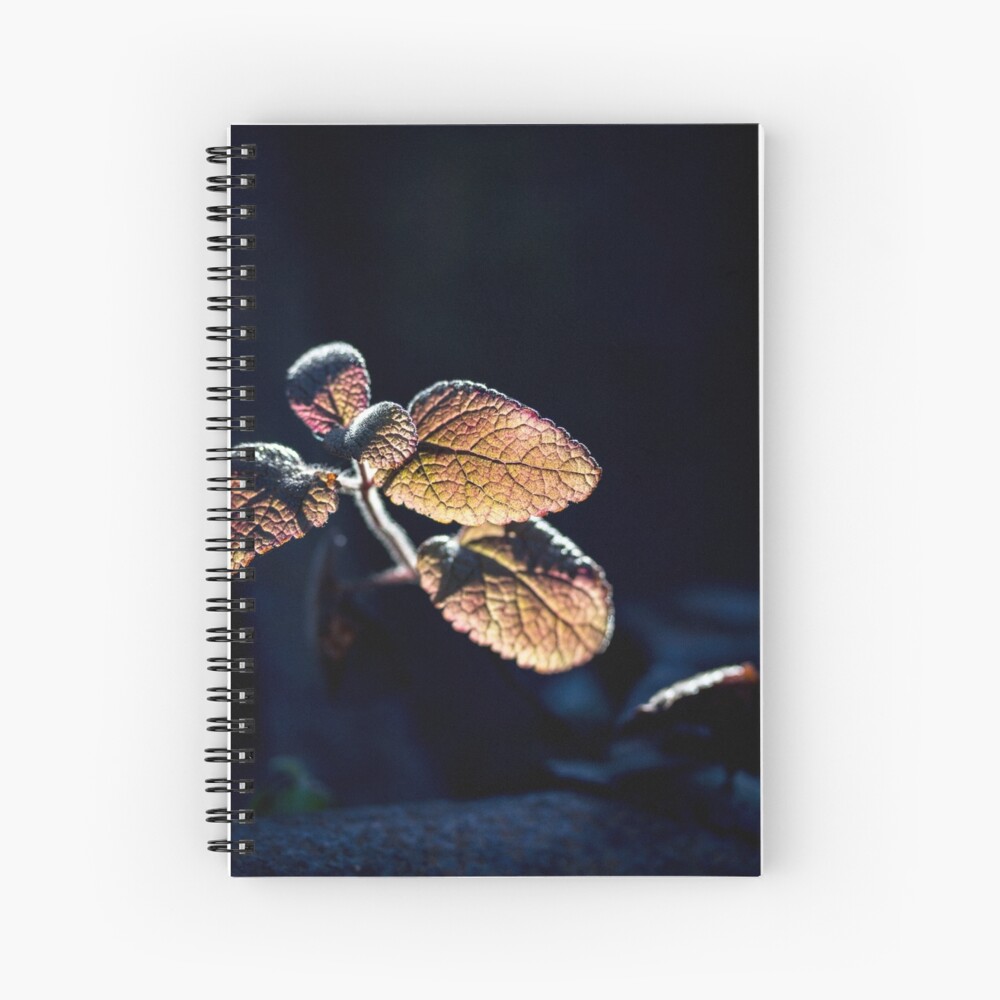 Glow Spiral Notebook