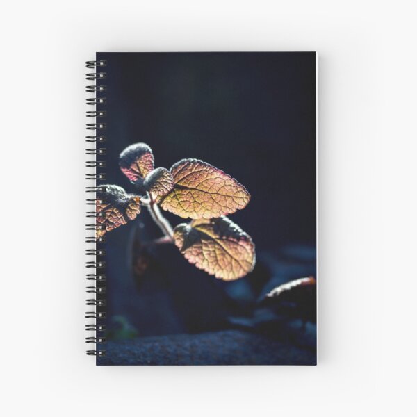 Glow Spiral Notebook