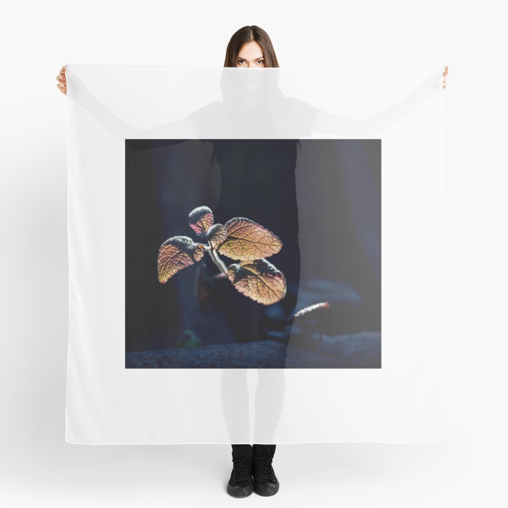 Item preview, Scarf designed and sold by FrankThomas.