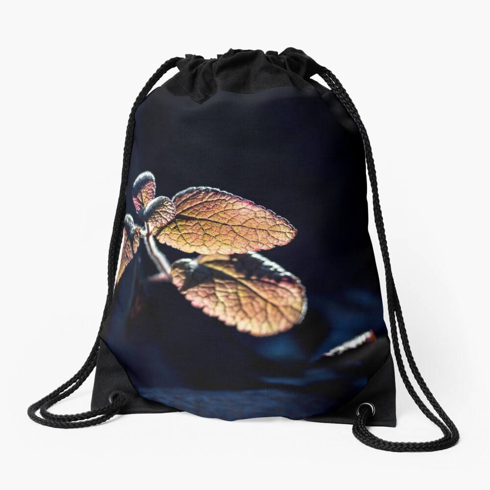 Item preview, Drawstring Bag designed and sold by FrankThomas.