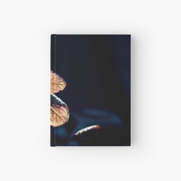 Glow Hardcover Journal
