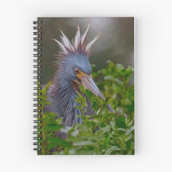 Item preview, Tri Colored Heron designed and sold by SuddenJim.