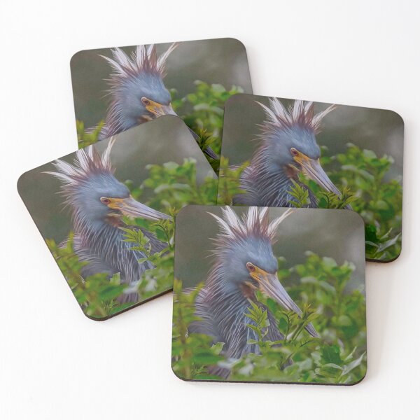 Item preview, Tri Colored Heron designed and sold by SuddenJim.
