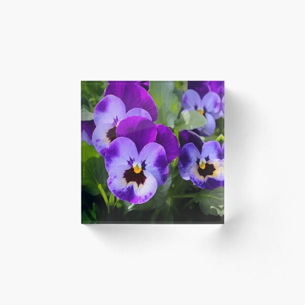 Purple Pansy Acrylic Block