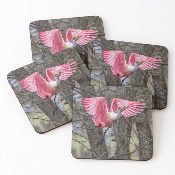 Item preview, Roseate Spoonbill designed and sold by SuddenJim.