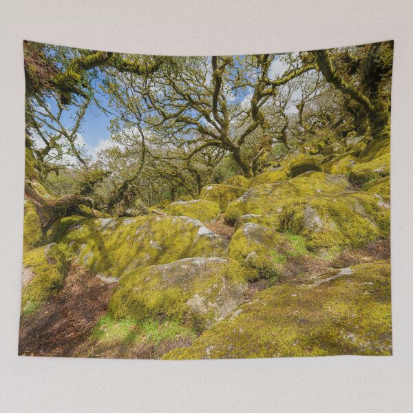 Item preview, Wistman's Wood designed and sold by rawshutterbug.