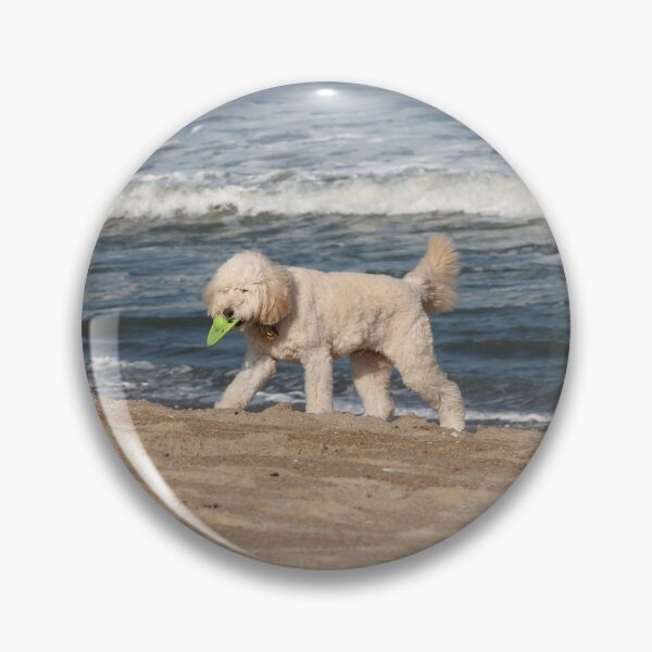 Item preview, Labradoodle on the beach in the OBX designed and sold by PurpleKittyCat.