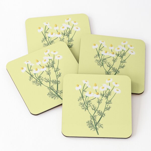 Item preview, Chamomile botanical drawing designed and sold by Luaillustration.