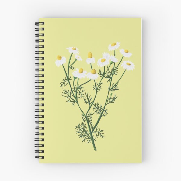 Item preview, Chamomile botanical drawing designed and sold by Luaillustration.