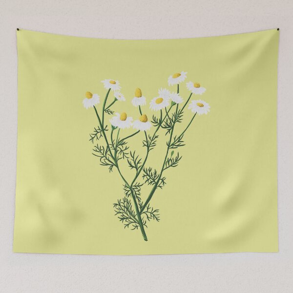 Item preview, Chamomile botanical drawing designed and sold by Luaillustration.