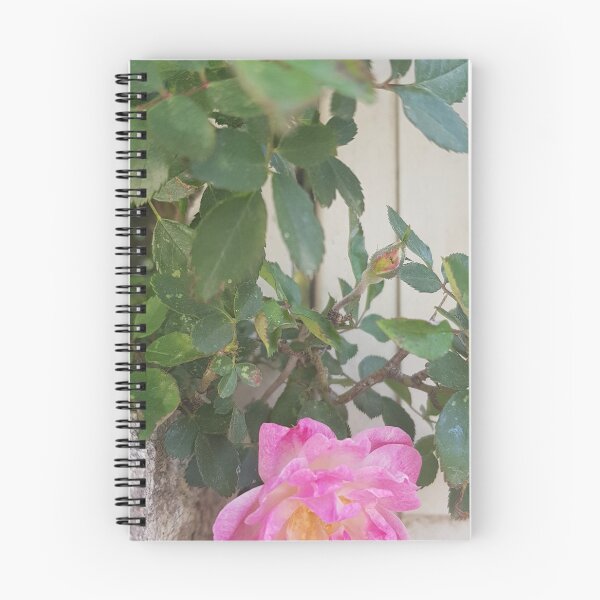 Item preview, pink rose, Emek Refaim St, German Colony designed and sold by EsterKarenAida.