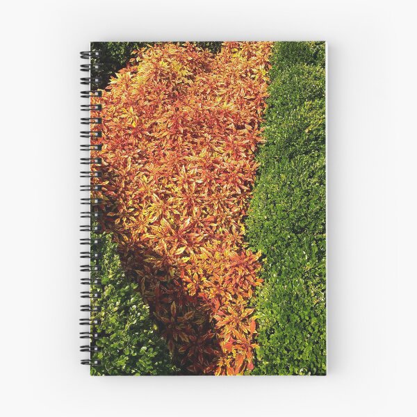 Item preview, Garden And Landscape Designs Photograph Print designed and sold by marvacousins246.