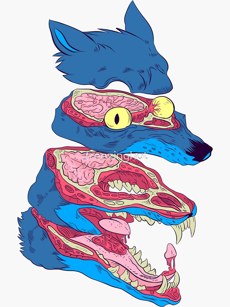 Dissected Wolf by freezinghot