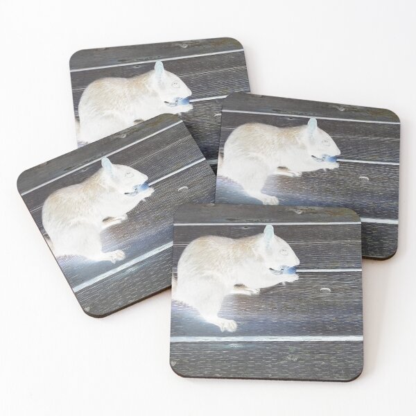 Item preview, squirrel negative designed and sold by FACELESS MONKEY.