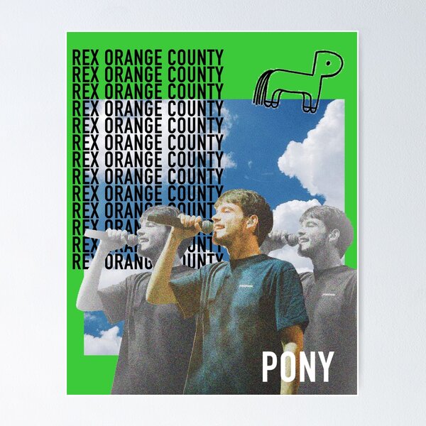 Item preview, Rex Orange County designed and sold by POP Polaroids.