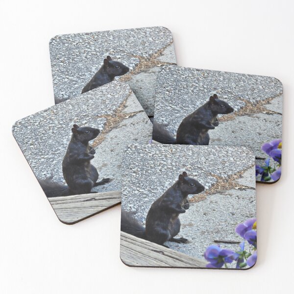 Item preview, squirrel picture designed and sold by FACELESS MONKEY.
