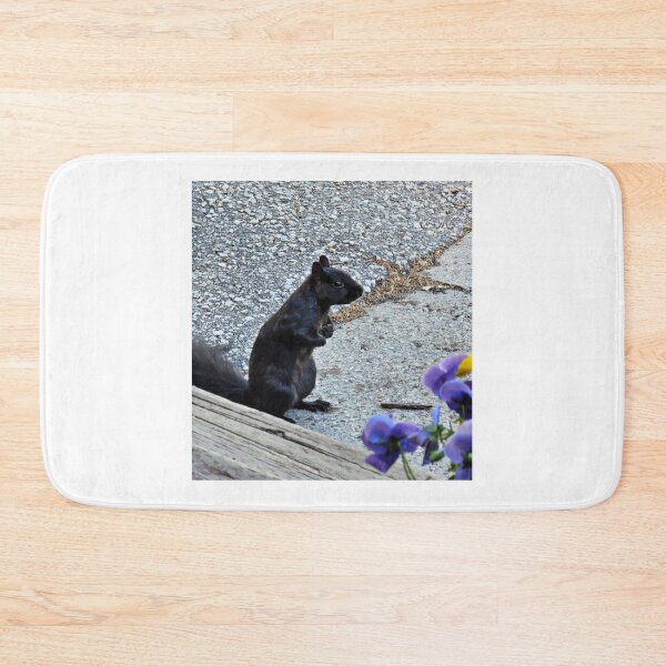 Item preview, squirrel picture designed and sold by FACELESS MONKEY.