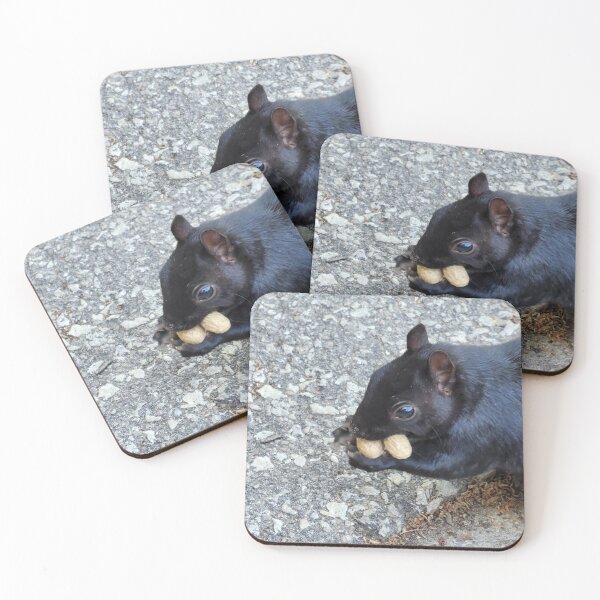 Item preview, squirrel eating peanuts  designed and sold by FACELESS MONKEY.