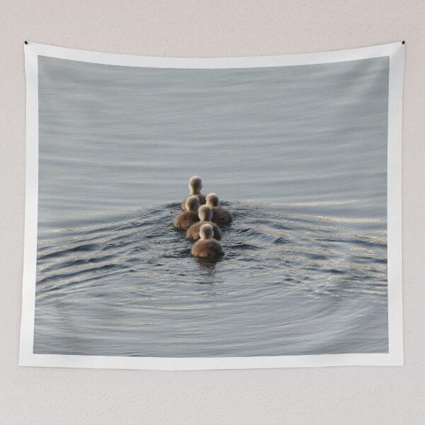 Item preview, Five Adorable Cygnet Swans designed and sold by Karen Thomson.