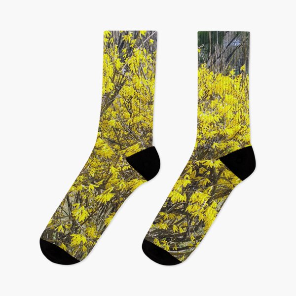 Item preview, The King Of "Forsythia Flowers 3“ designed and sold by KingOfSeoulSHOP.