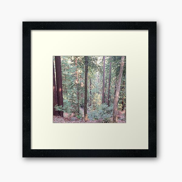 Item preview, Redwood Oak Tree Forest designed and sold by aestheticisland.