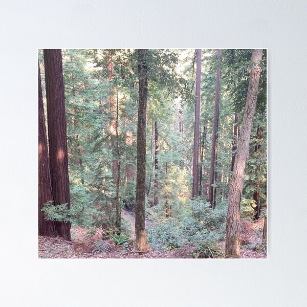 Item preview, Redwood Oak Tree Forest designed and sold by aestheticisland.