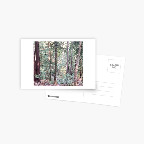 Item preview, Redwood Oak Tree Forest designed and sold by aestheticisland.