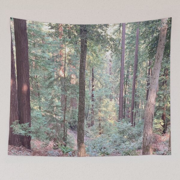Item preview, Redwood Oak Tree Forest designed and sold by aestheticisland.