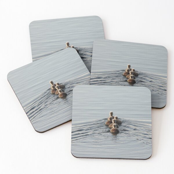Item preview, Five Adorable Cygnet Swans designed and sold by Karen Thomson.